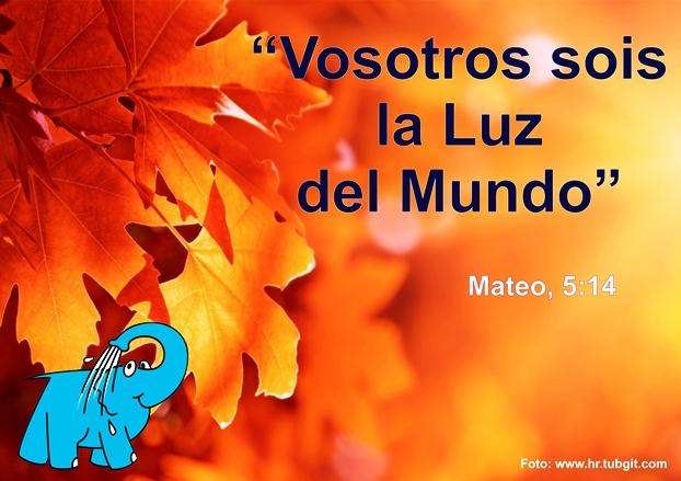 Una Enseñanza de Jesucristo sobre La Luz, en La Frase del Día del Elefante Azul de Avilés